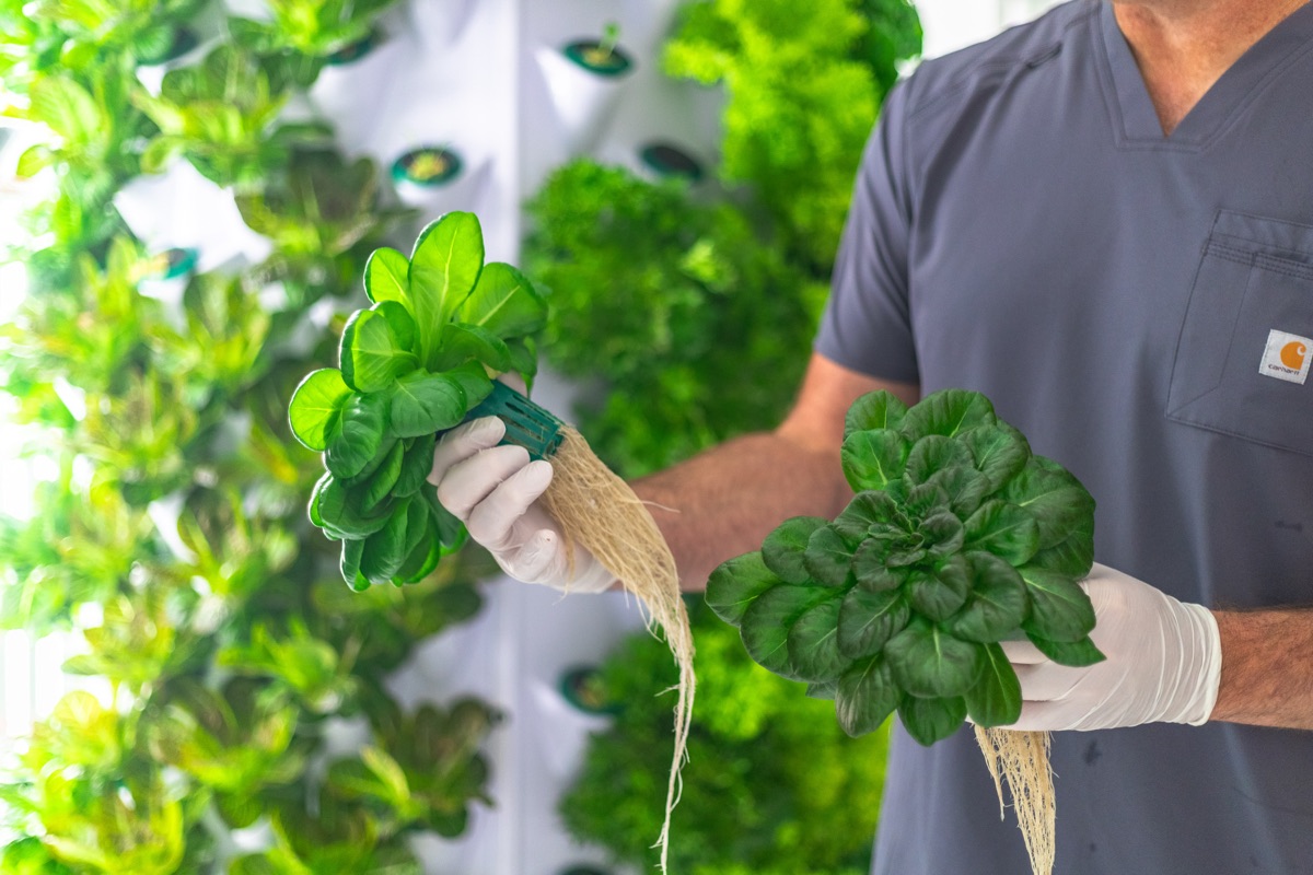 Living Grocer